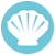 molusco