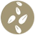 sesamo